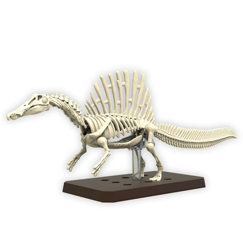 Dinosaure Plastic Model Kit Plannosaurus Spinosaurus